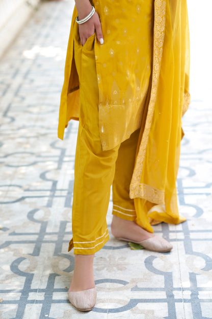 Dhiyona VV Vivah Women Kurta and Pant Sets Dupatta Viscose Rayon Silk Blend with Handwork