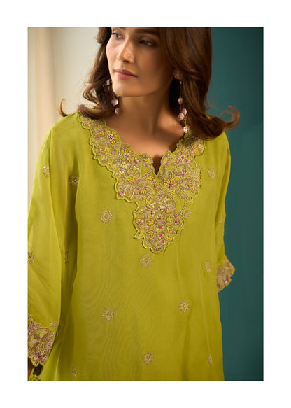 Aster Fern Premium fusion wear Co-ord set