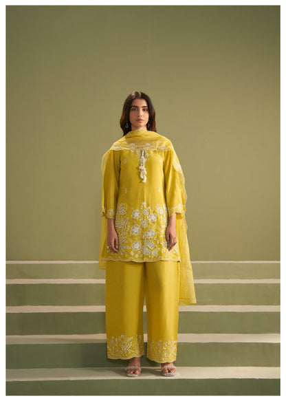 Ira honey full embroidery suit set