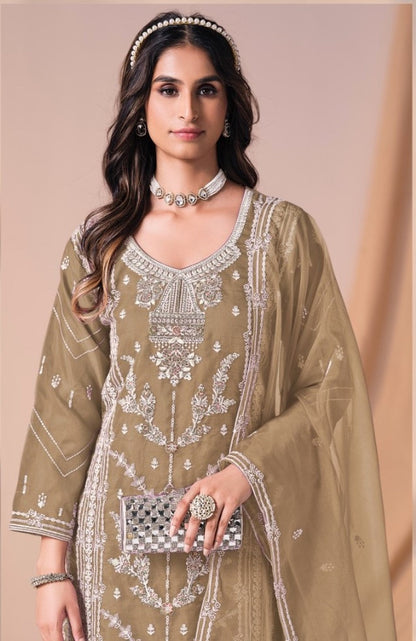 Mayuri Tan Full Work Suit Set
