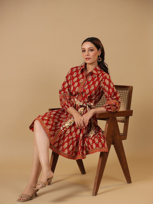 Dhiyona AY Women's Ethnic Motifs Printed Cotton Shirt Dress