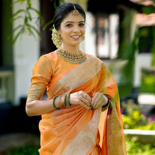 Dhiyona HH Coral Orange Banarasi Authentic Soft Tissue Silk Saree with Rich Pallu Woven Design