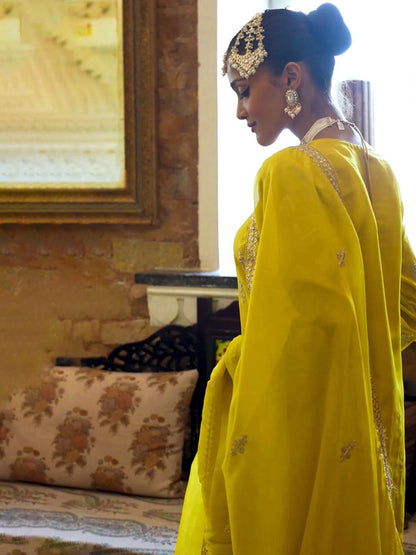 Dhiyona IE Women Ethnic Motifs Embroidered Regular Kurta with Palazzos & With Dupatta